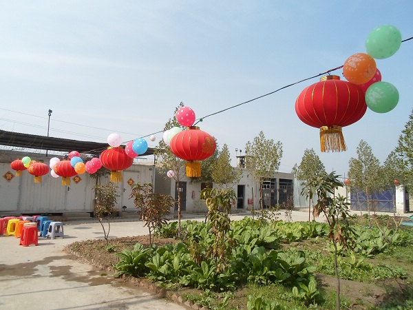 SAM_0187 - 副本.JPG